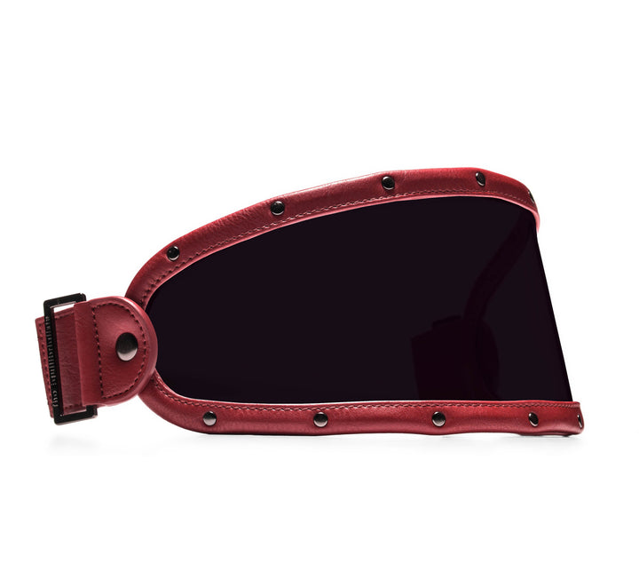 EQ VISOR // BURGUNDY