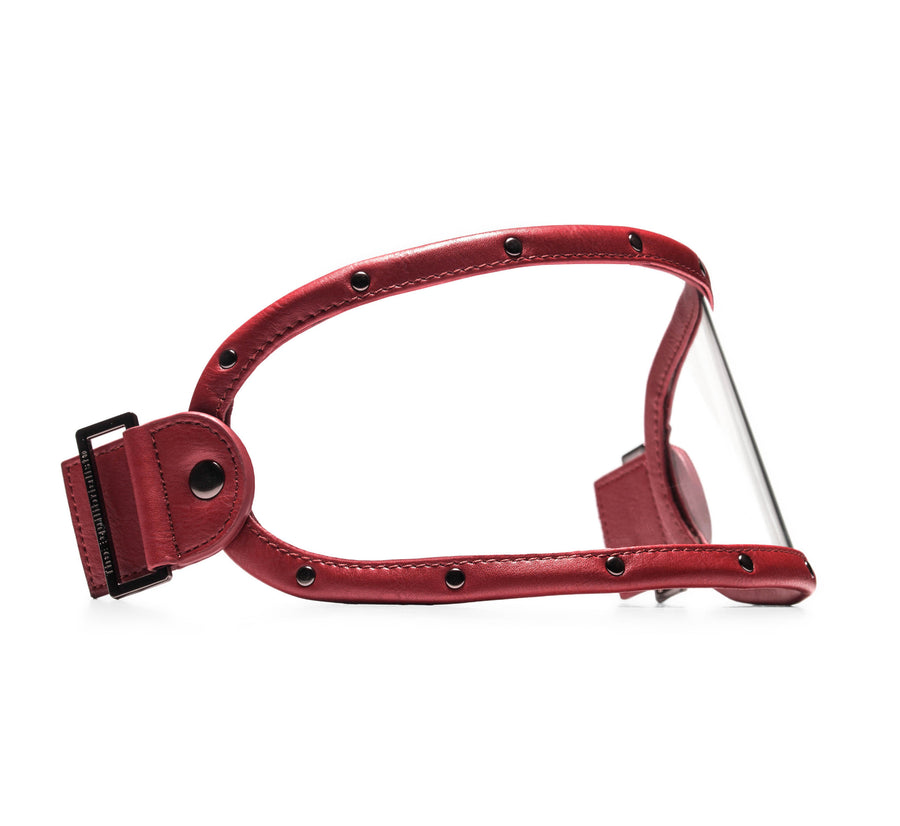 EQ VISOR // BURGUNDY